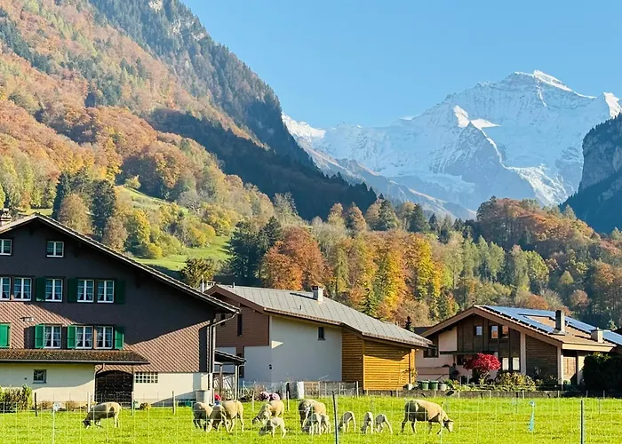 S&p Mountain View 1 Lejlighed *