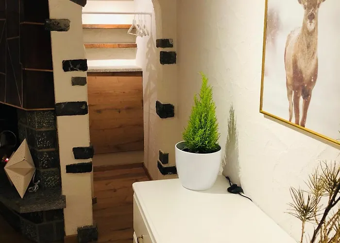 Apartamento S&p Mountain View 1 Wilderswil