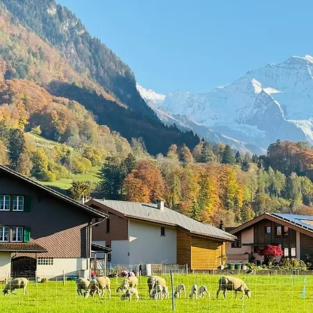 S&p Mountain View 1 Apartment *